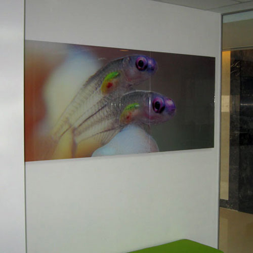 Arrowprint Photoprint behind acrylic