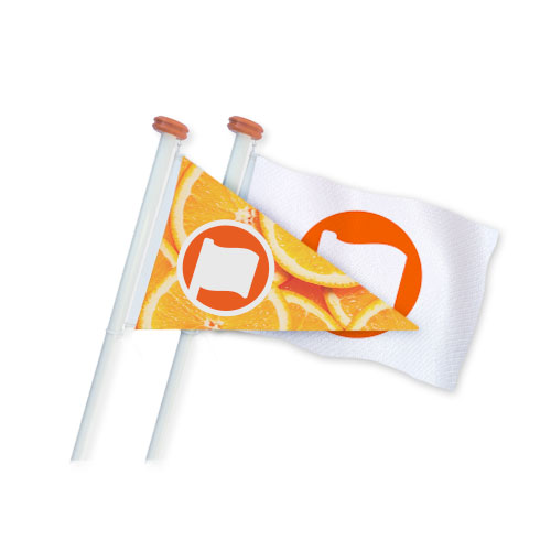 SV Scheepsvlag